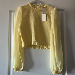 NWT aritzia Wilfred blouse